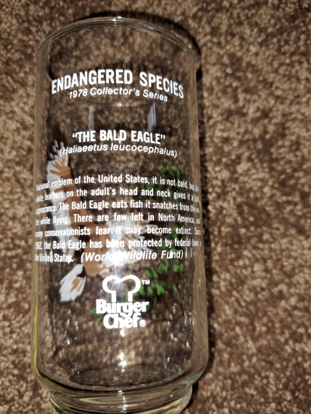 VNTG 1978 Burger Chef "Endangered Species" Collector's Series Glass W/Bald Eagle - Picture 4 of 4